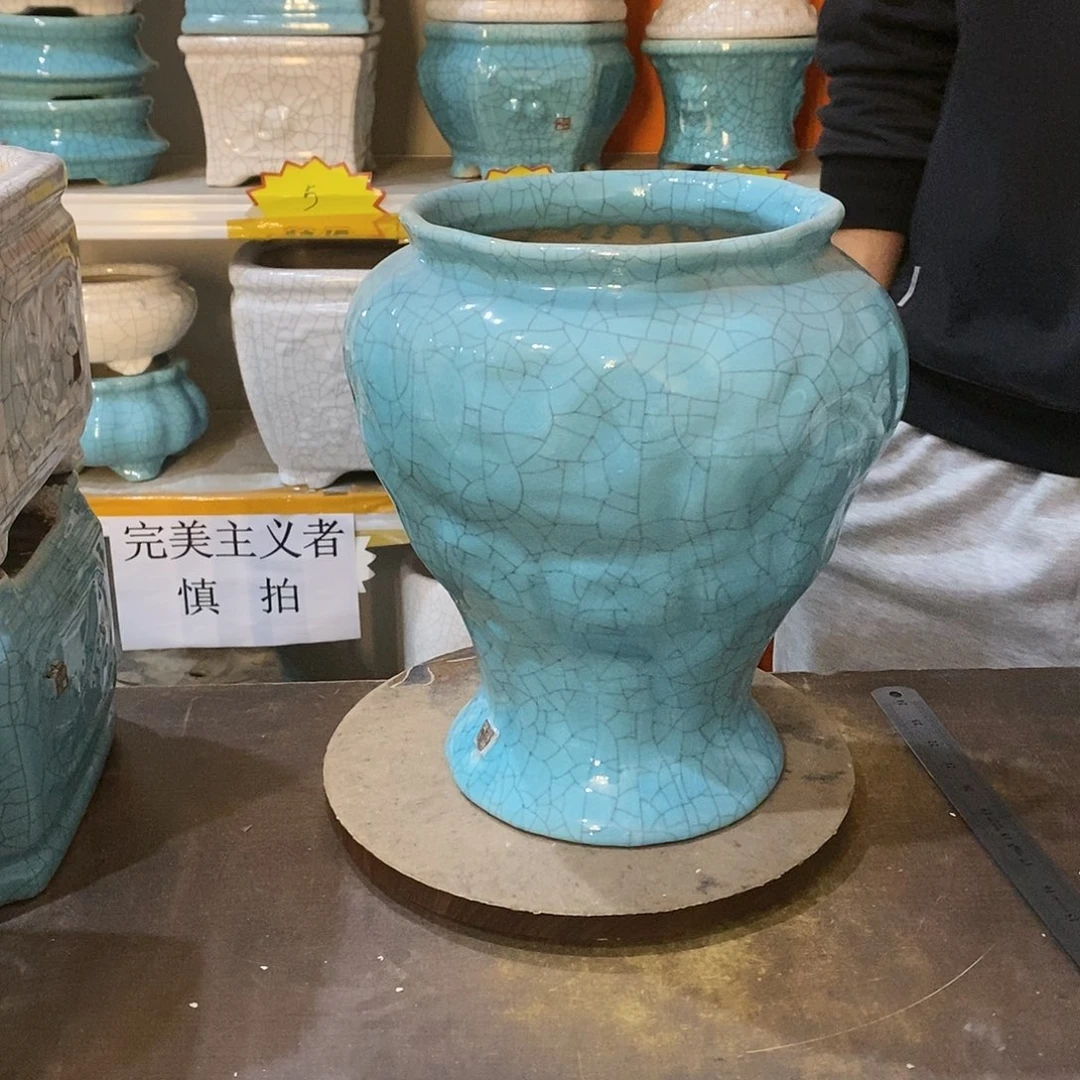 ?***满花盆花盆里的花都