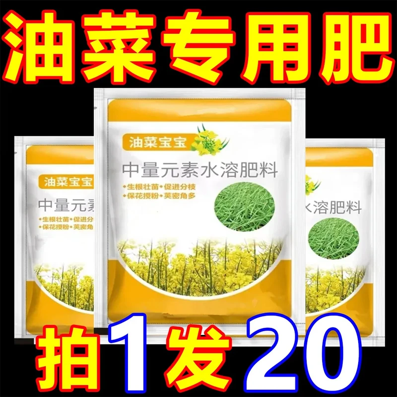【拍1发20】油菜宝宝提高出油率促花授粉抗倒伏籽粒饱满油菜专永