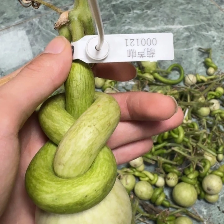 阔*哈哈哈哈哈哈哈哈哈哈哈