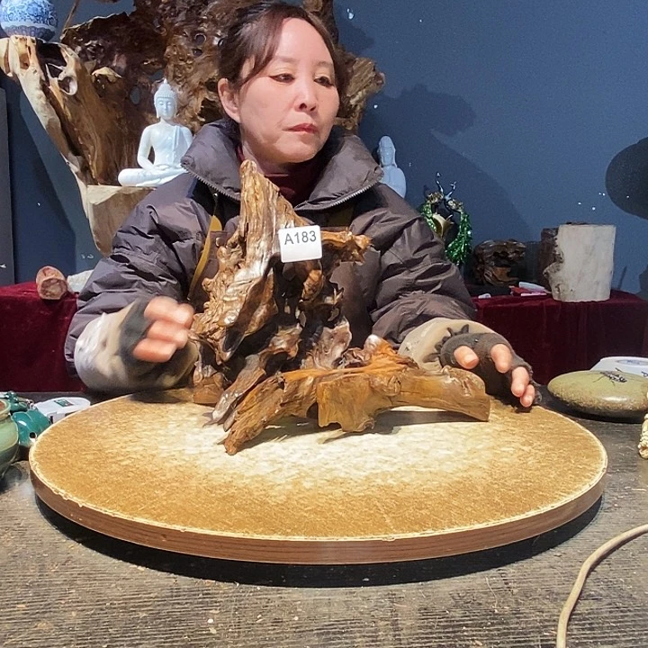 L**Z183株木的随行杯根艺