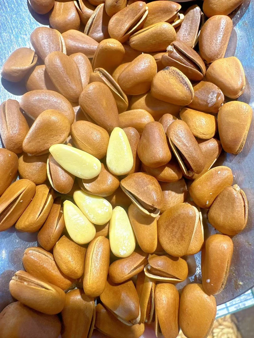 超特大东北开口松子1斤