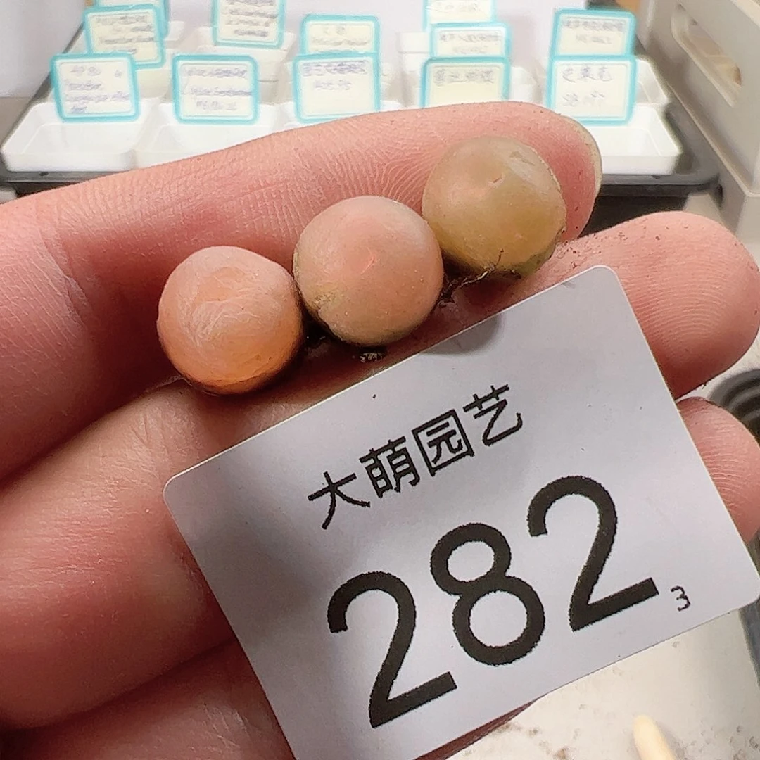 0000282 一物一拍……