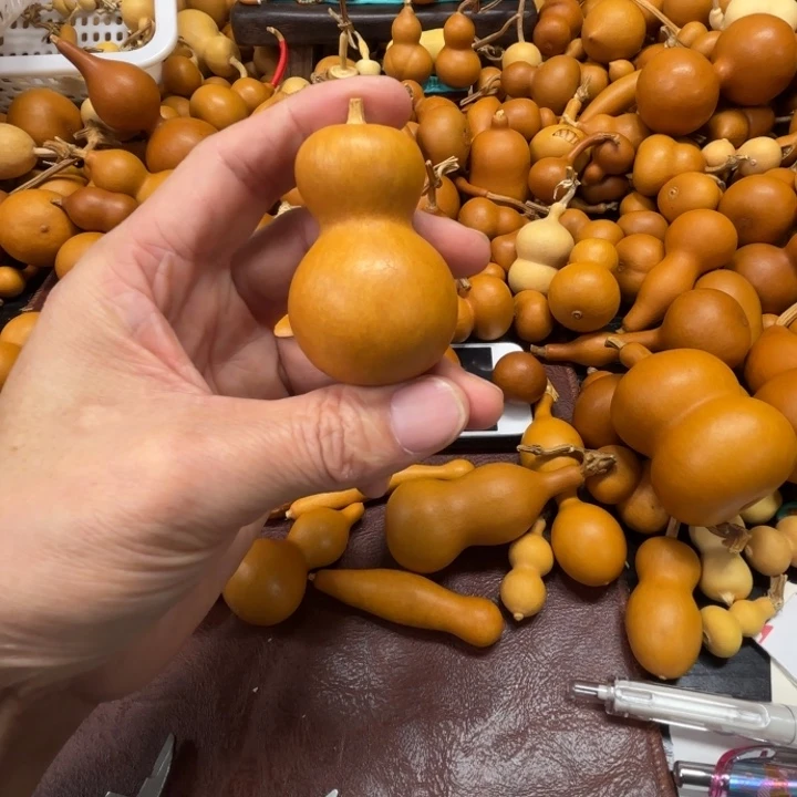 橘*?蒟蒻的一把瓶子葫芦聚落的