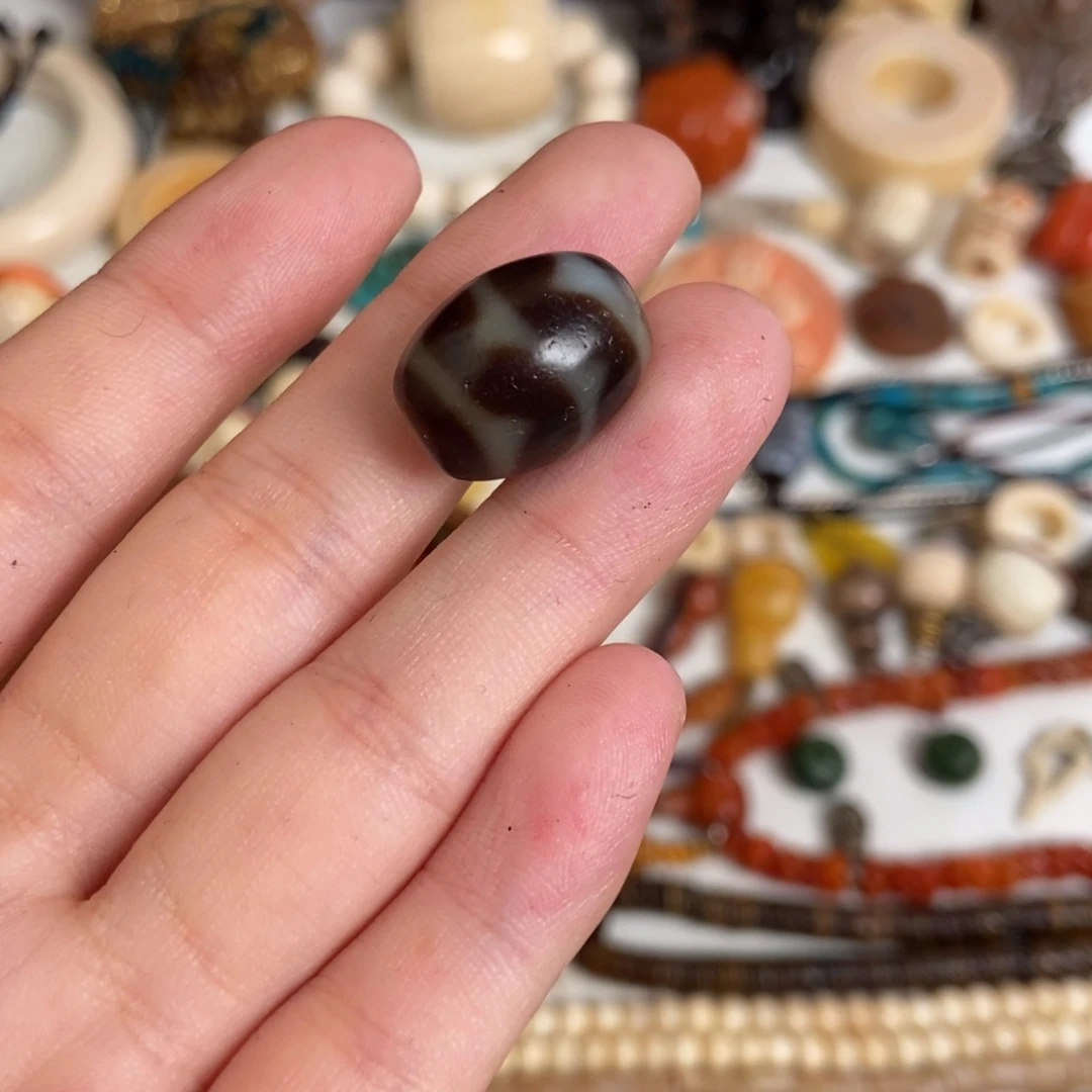 香榧木喜马拉雅招财