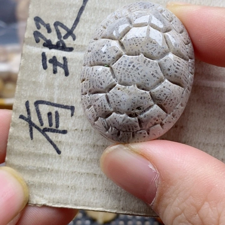 硅化珊瑚（珊瑚玉）颈饰未镶嵌