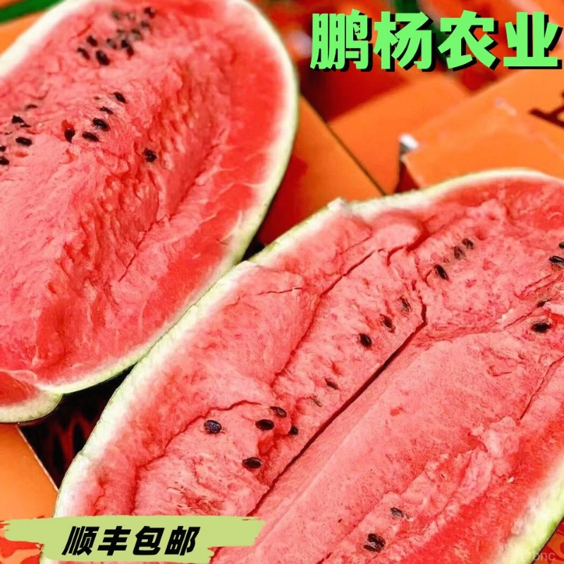 鹏杨甄选广西黑美人西瓜多汁甜西瓜应急水果新鲜种植天然顺丰包邮