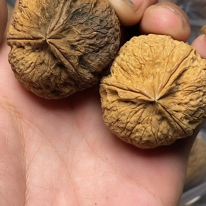 文玩核桃把件云南铁核桃84