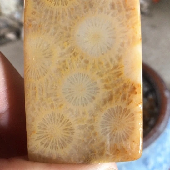 硅化玉吊坠未镶嵌