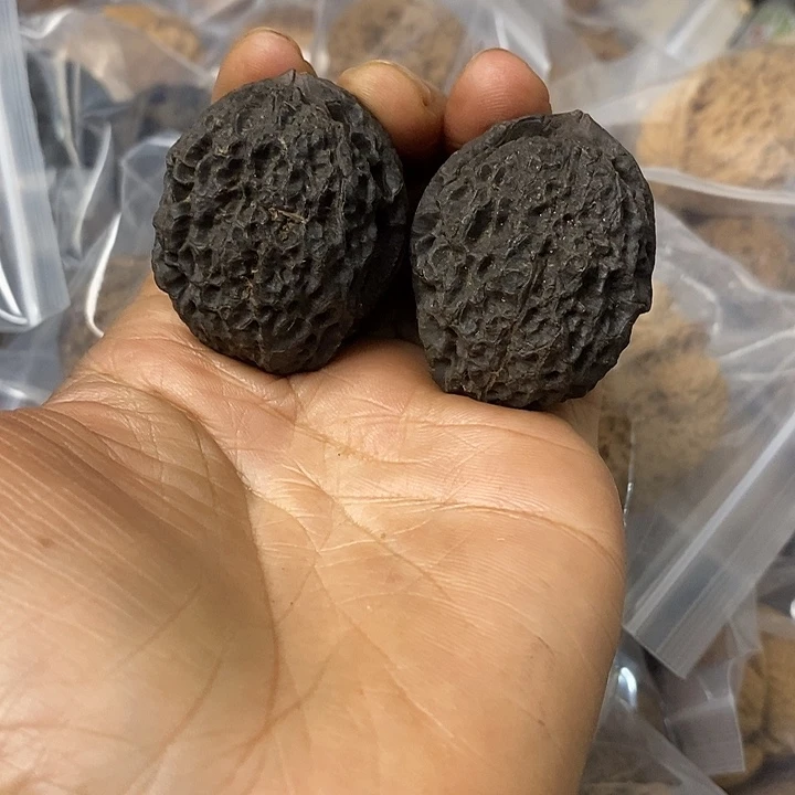 核桃云南铁核桃基地9