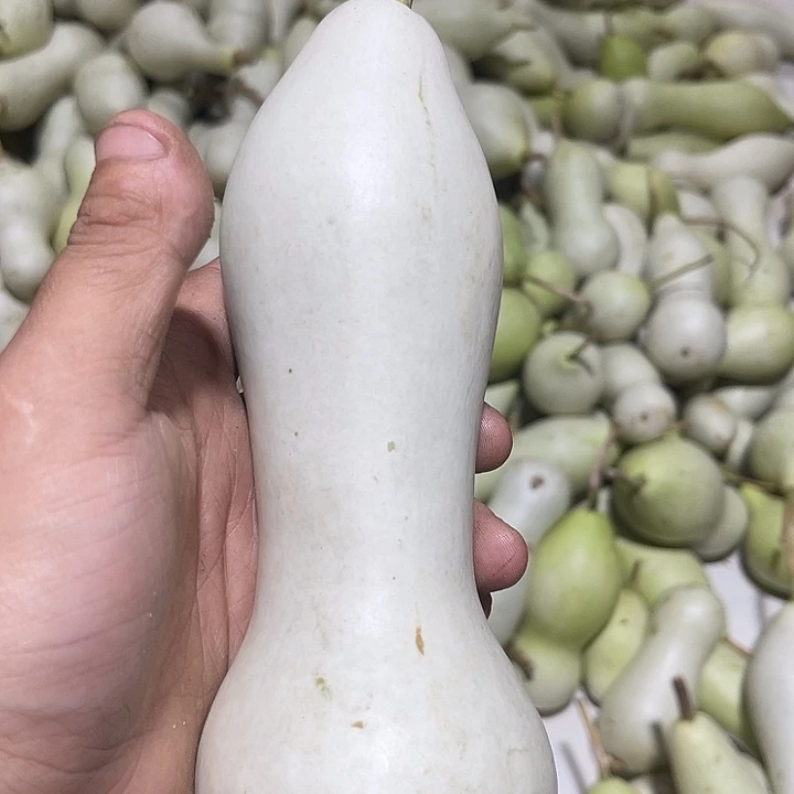 非洲紫檀（红花梨）?**?