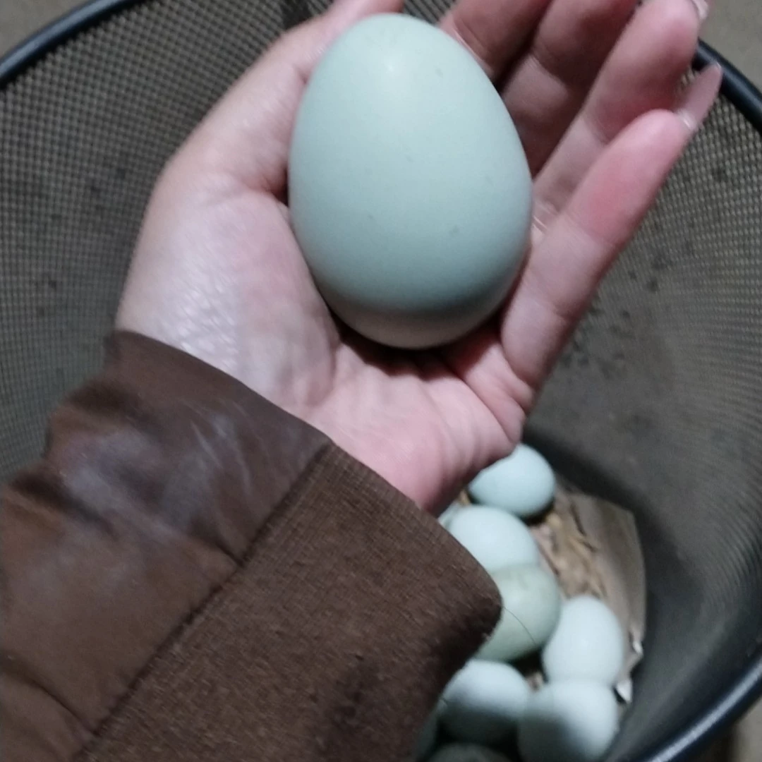 石台仙寓农家散养鸡蛋石台小李代购