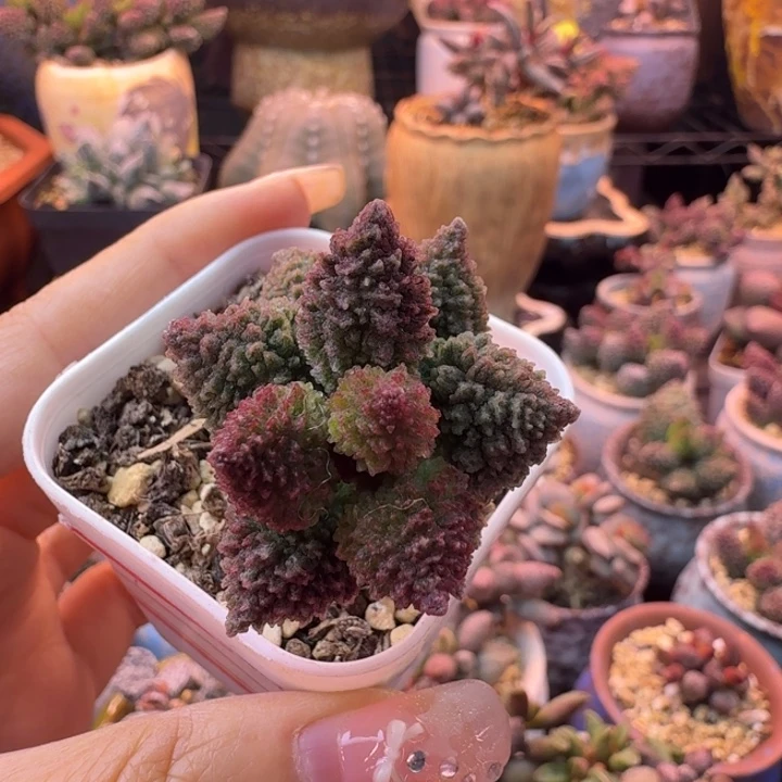 换***情一天的工作时间到现在已经