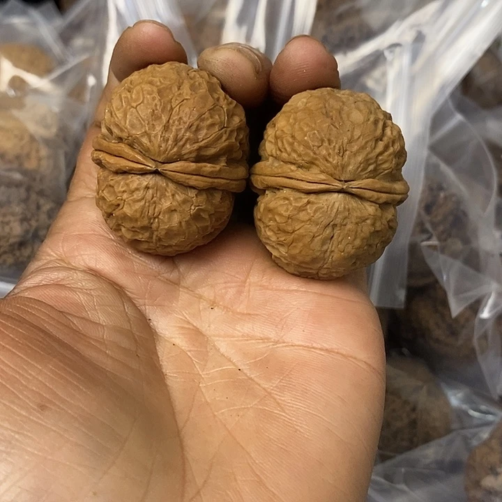 核桃云南铁核桃基地28
