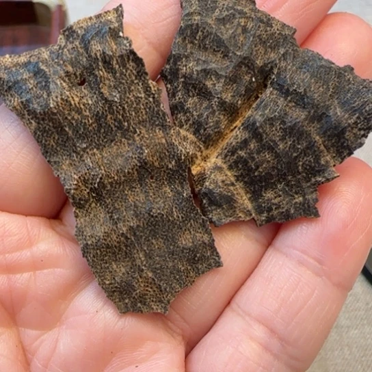 摆件沉香琼中包头沉水2克