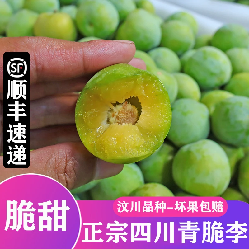 【顺丰冷链-坏果包赔】正宗四川汶川青脆李脆甜脱骨李子新鲜水果