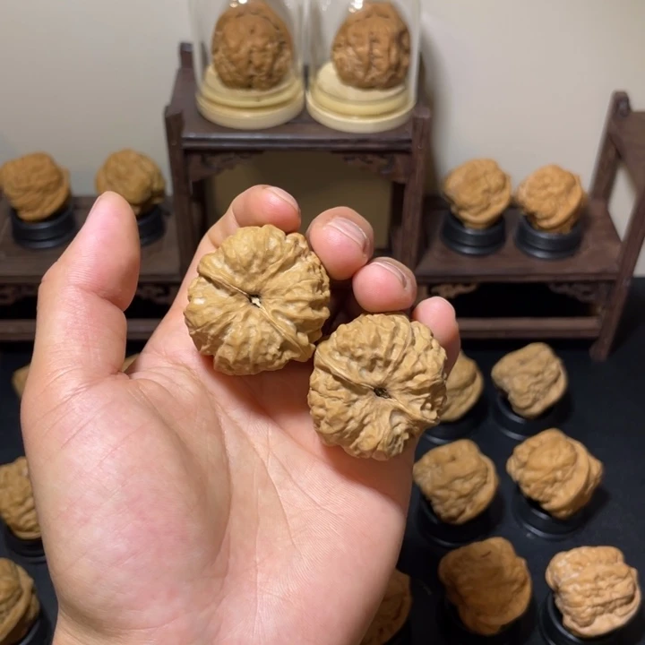 b***o核桃精品对三角蛙蛙
