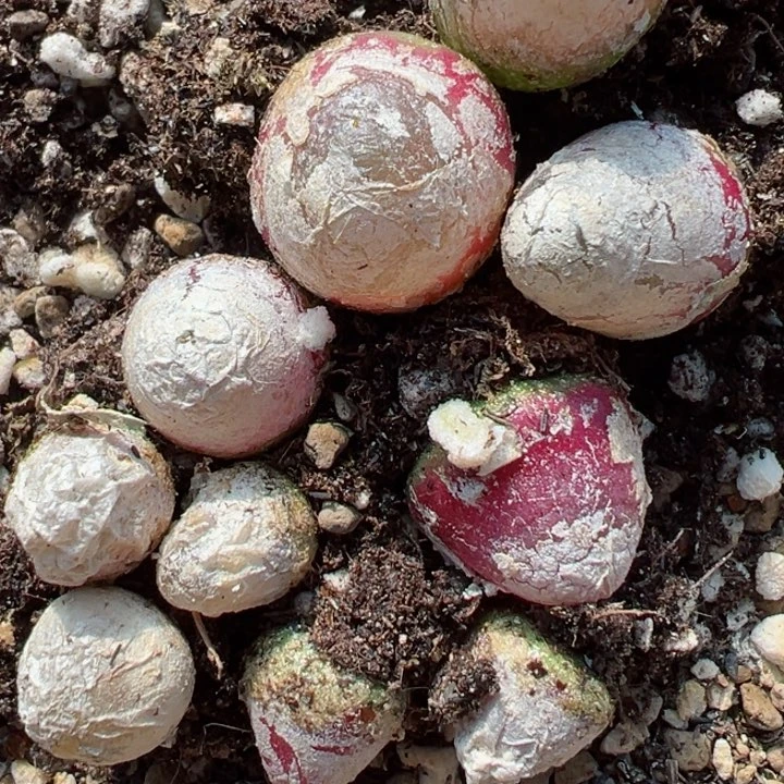 440号1！1111111111