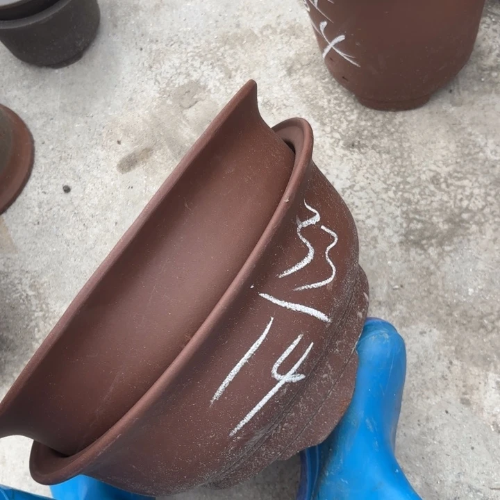 花盆紫砂紫砂的花