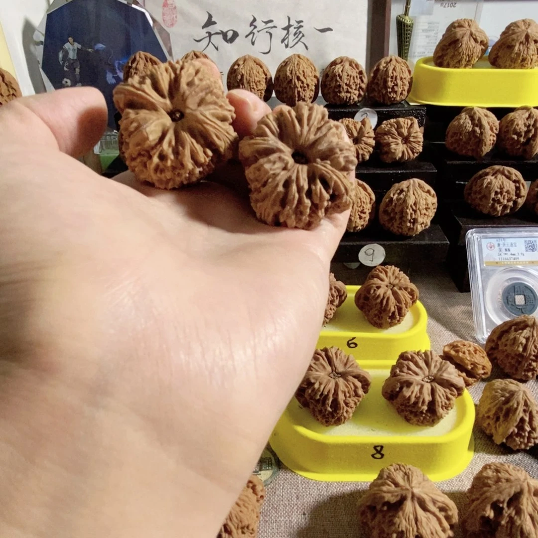 木质类奥迪南疆石门