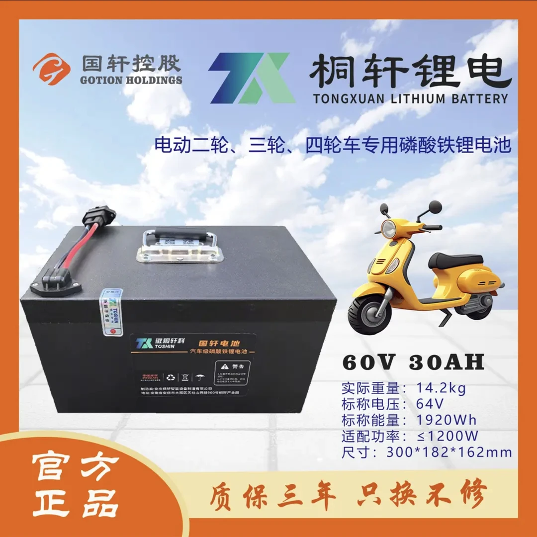 国轩60V30AH炬城锂业全新A品电芯磷酸铁锂电池用于二轮三轮电动车
