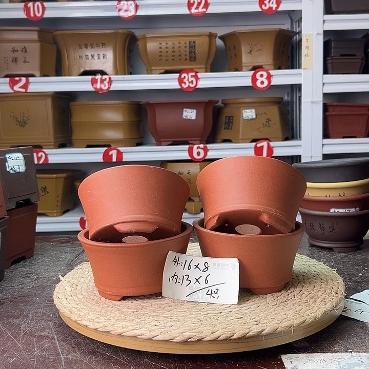 花盆紫砂蛇年大吉