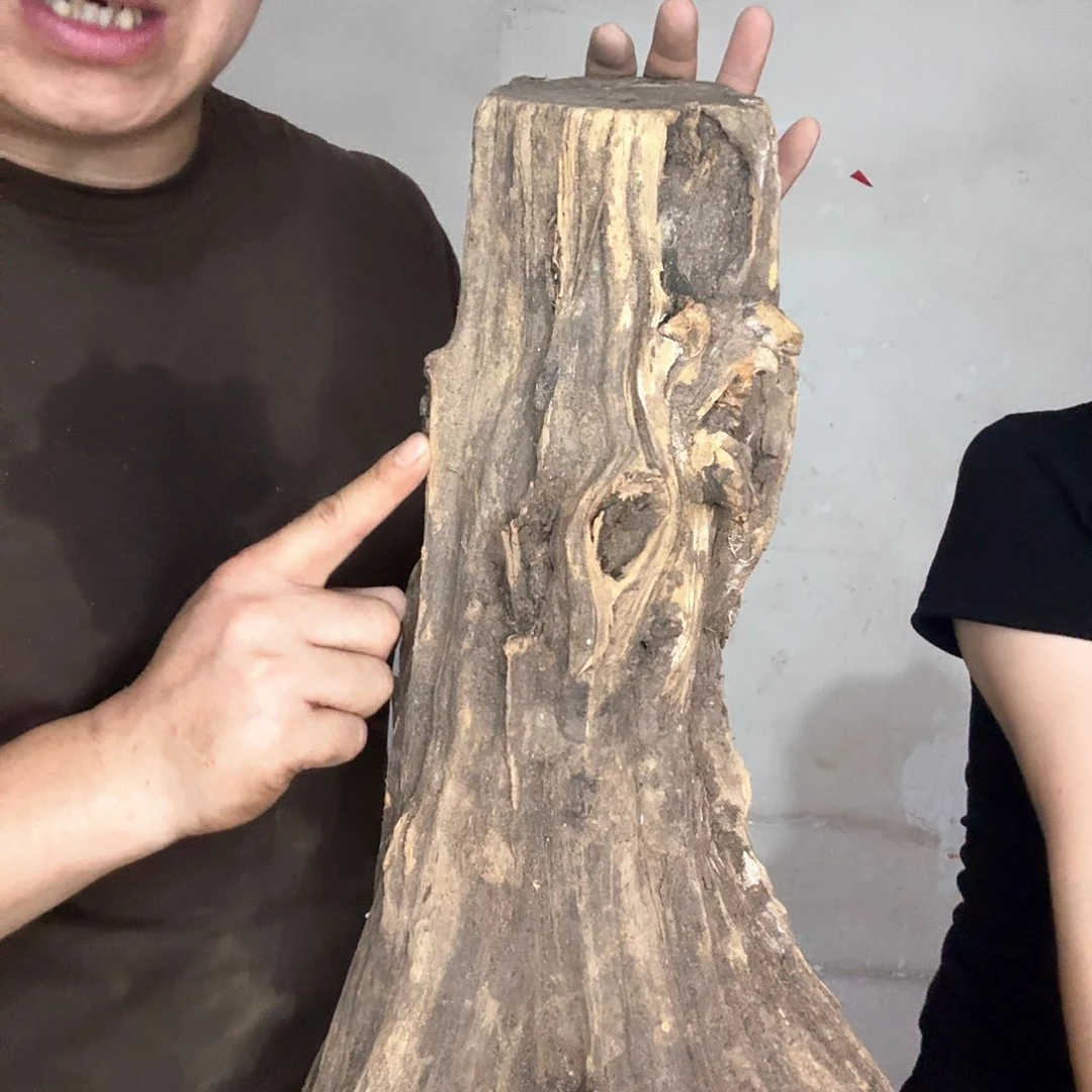 圣***心木太行崖来摆件摆件