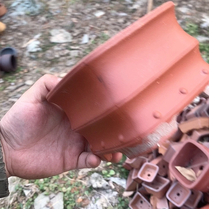 紫砂哈哈真的是太给力太火爆了不是吗