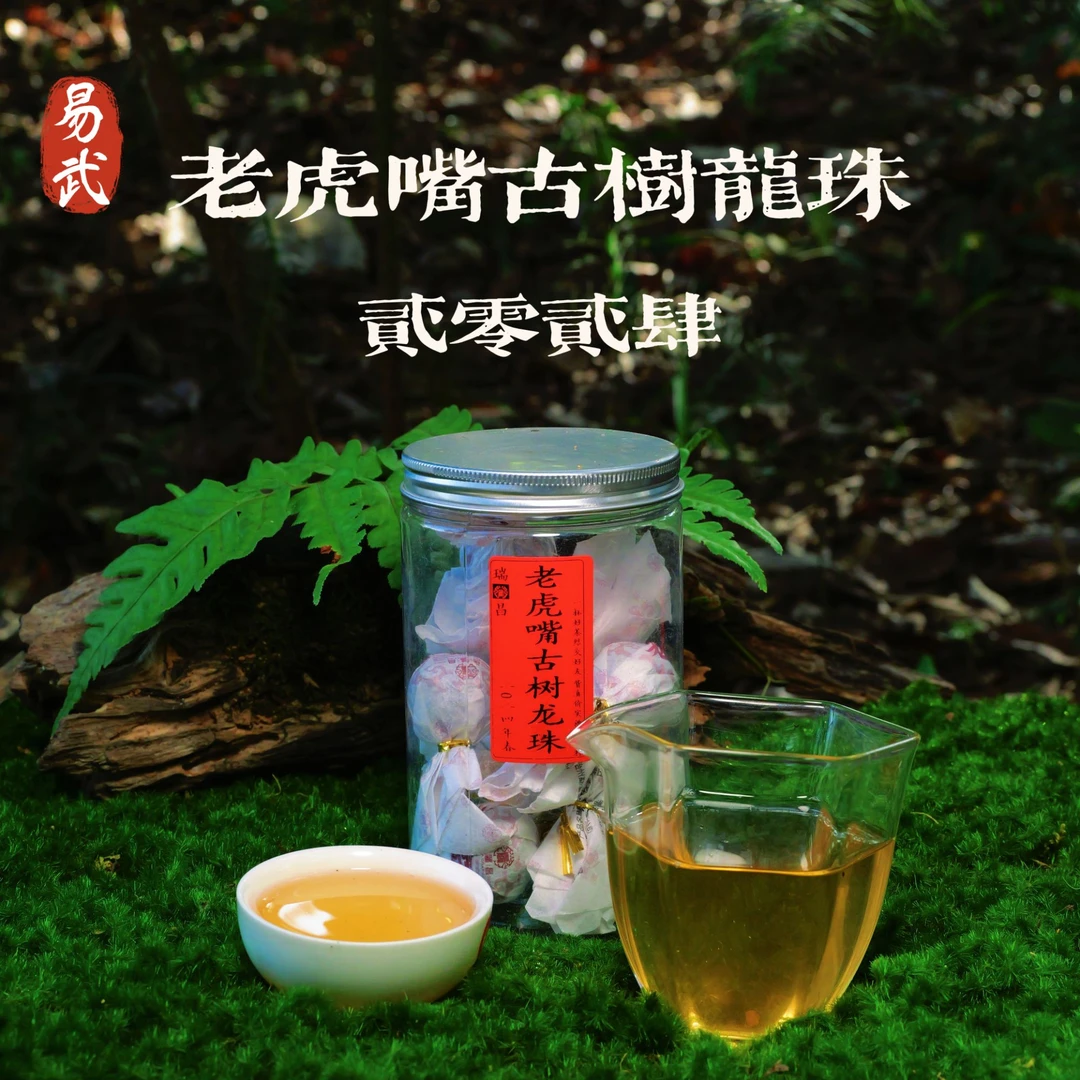 2024年老虎嘴古树龙珠普洱茶8克(13颗)1罐生茶