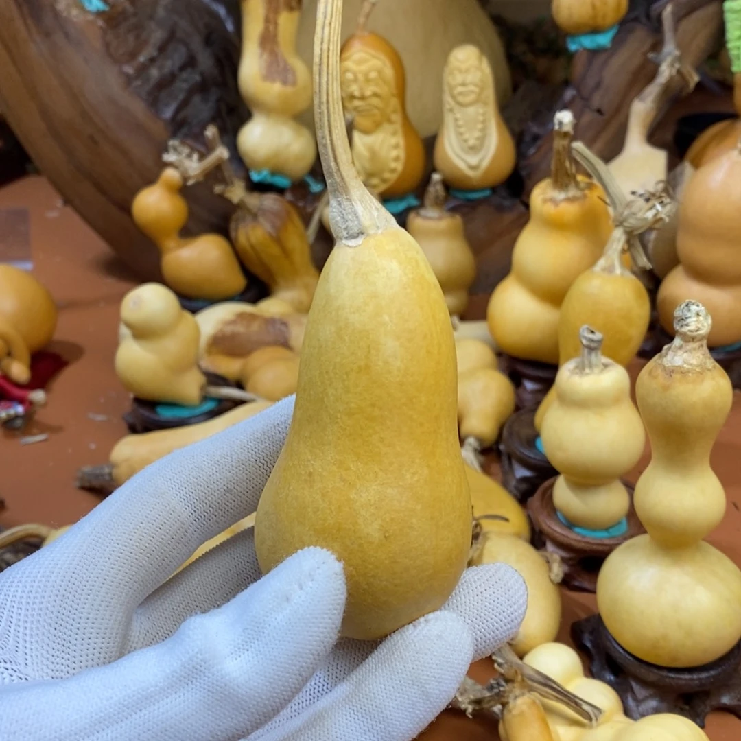 大***鹰咯教练啦考虑教练咯