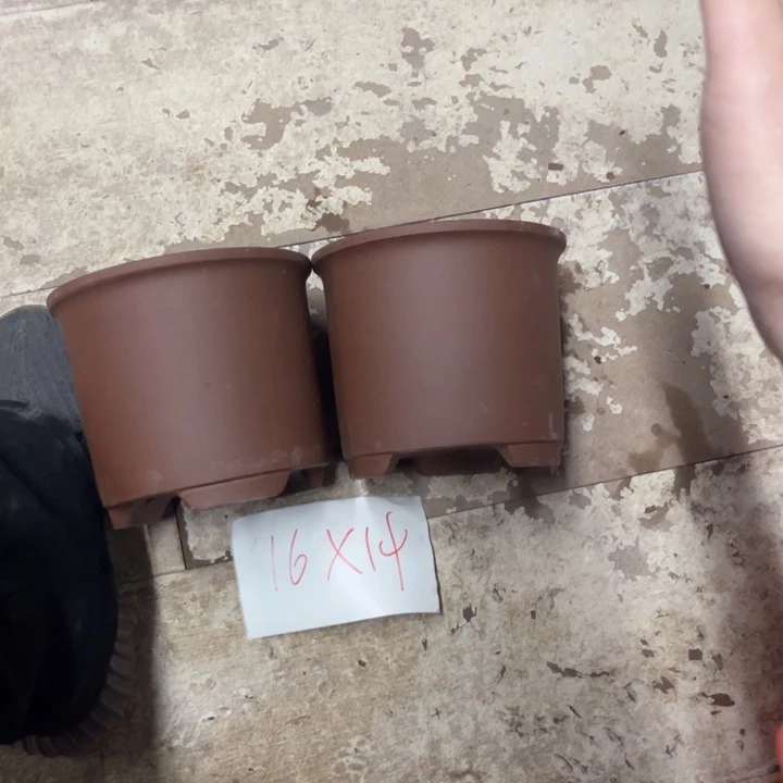 紫砂紫紫花盆破损包赔