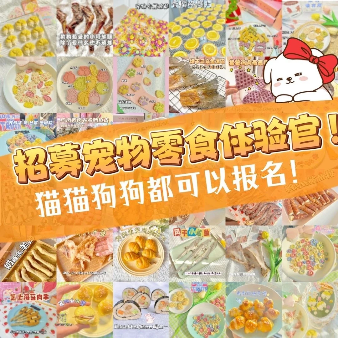 宠物零食颜色对对碰猫狗鼠通用