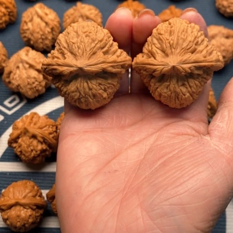 橄榄核手串/手链?****?南疆石45