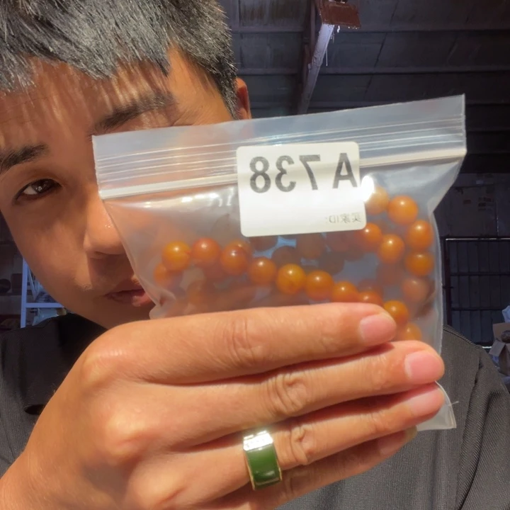 大叶紫檀（黑酸枝木类）738