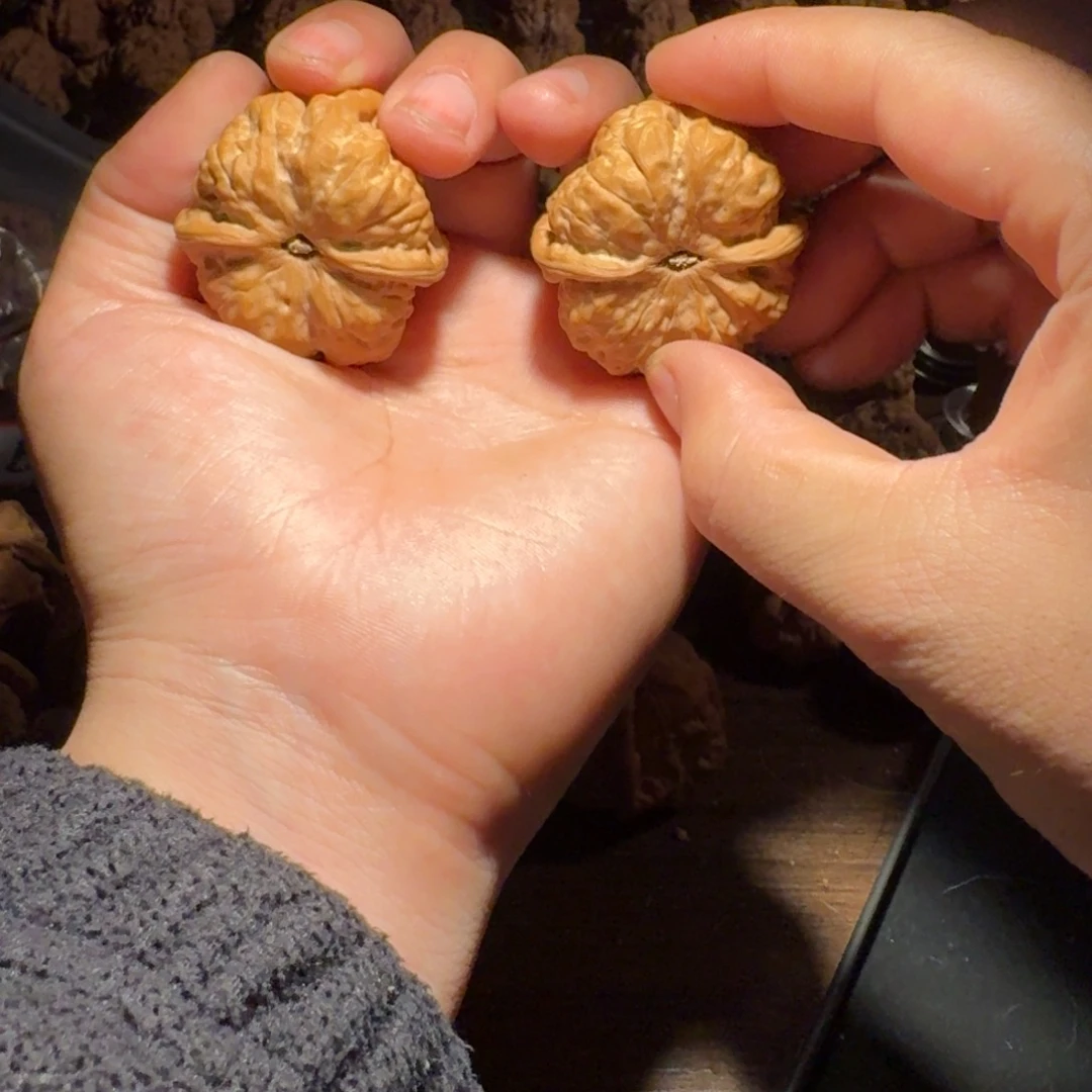 窝***头吊坠文玩核桃蛤蟆的眼睛是真的好看啊我的天
