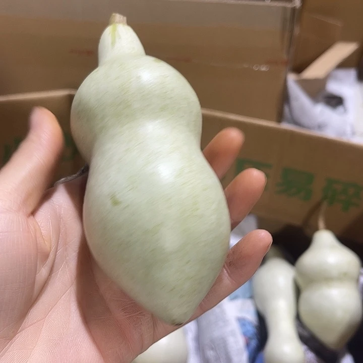非洲紫檀（红花梨）牛*