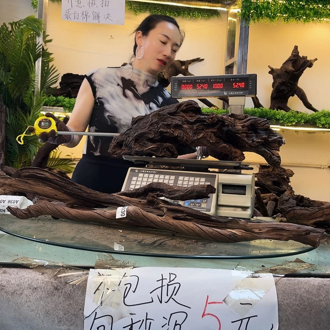 柚木梓*沉木鱼缸造景