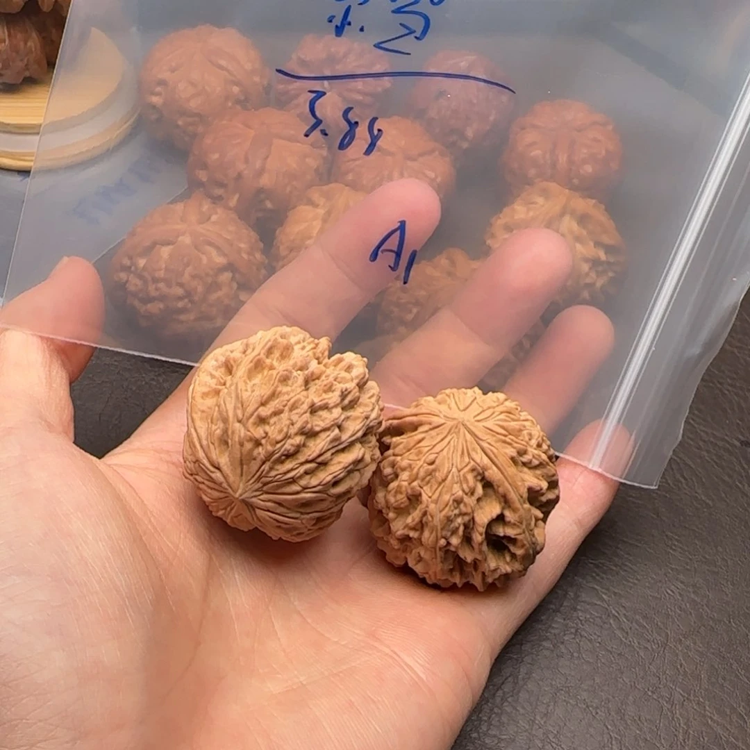 可*乐暴雪后的我也是这样