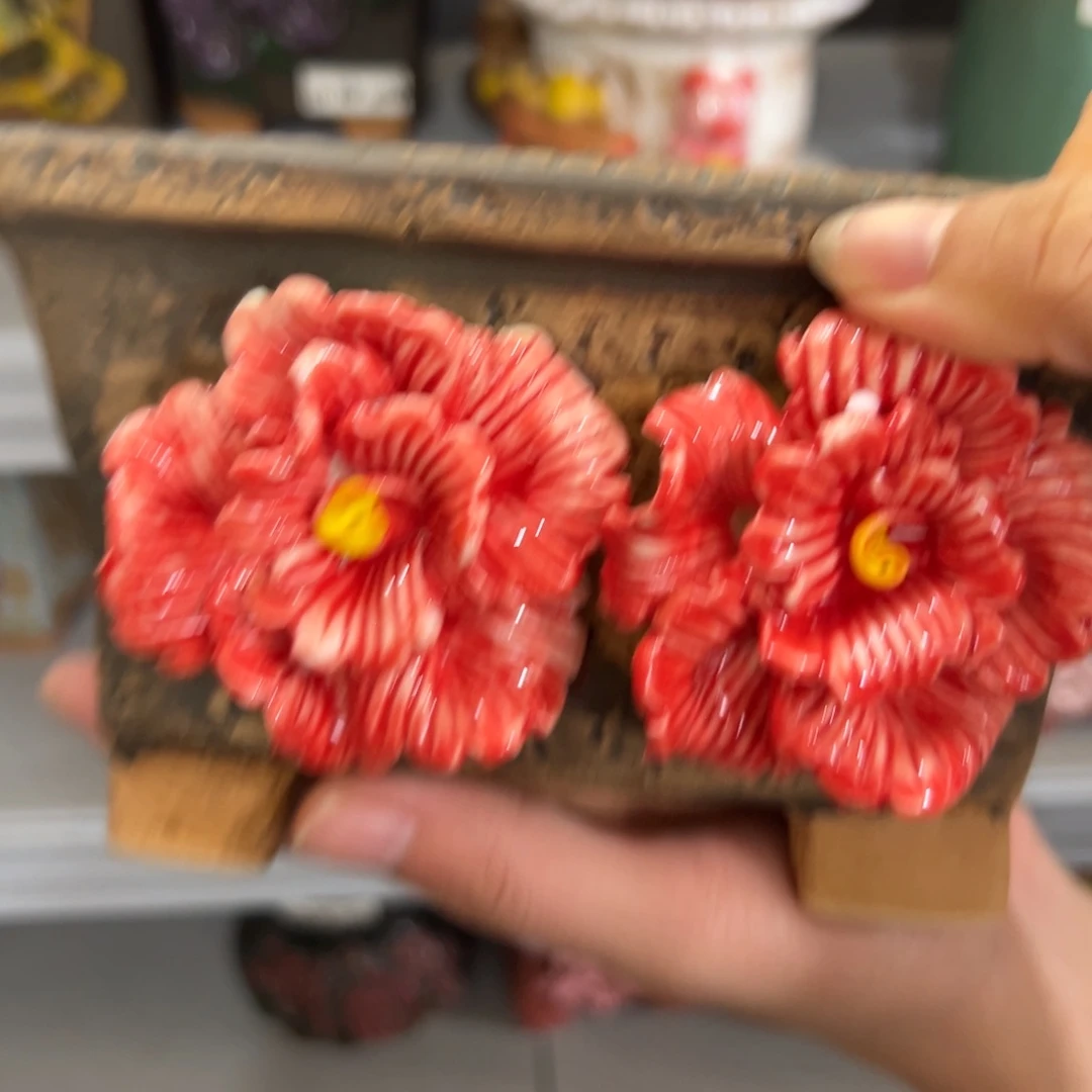 拍满18.8米包邮发货