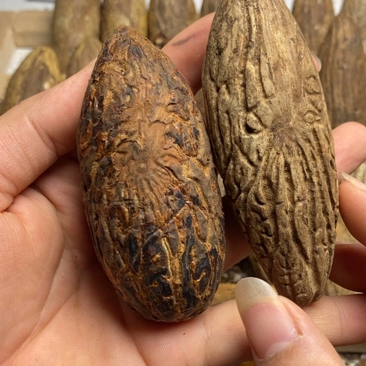 米***儿千眼菩提把件菩提