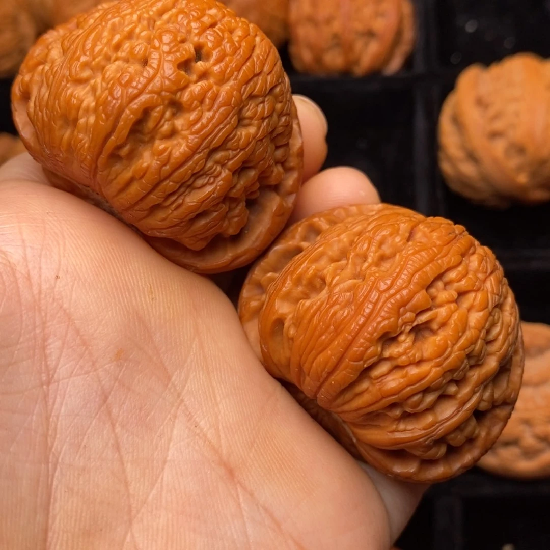 文玩核桃把件秦岭野生核桃