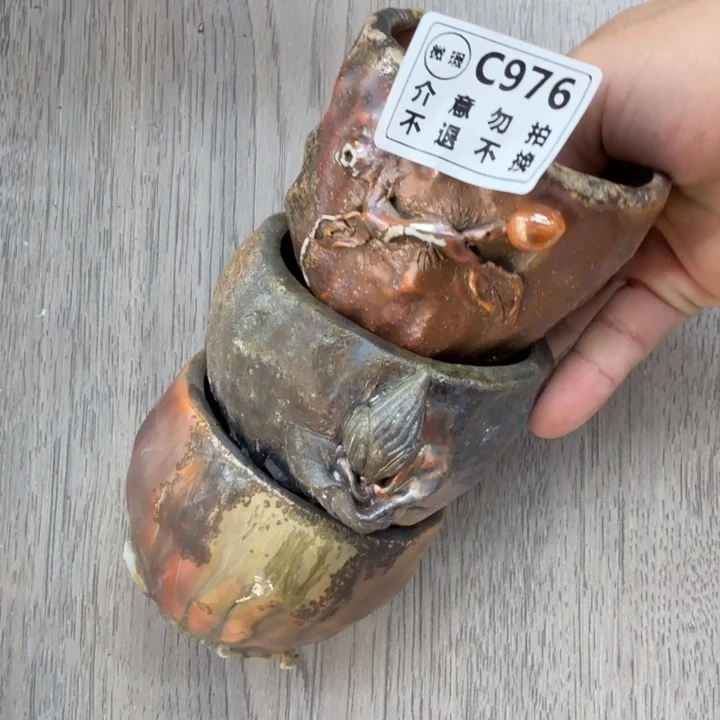 摆件柴烧福利新品多多