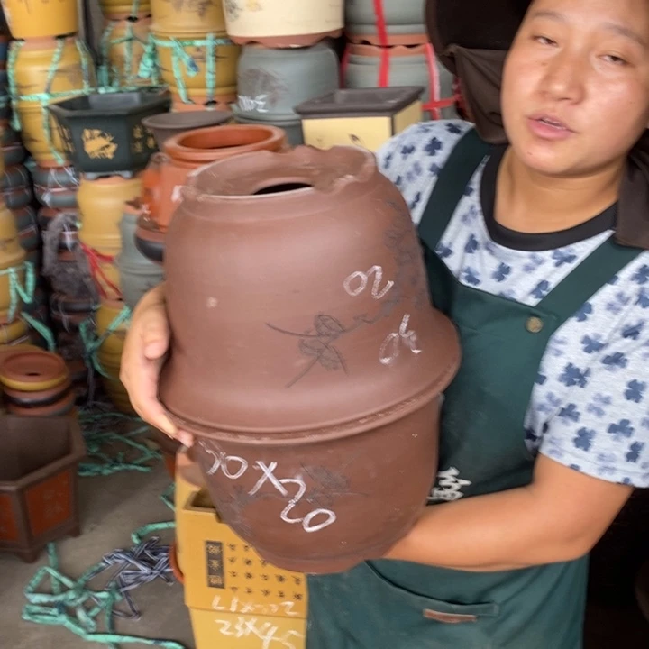 紫砂花盆紫砂花盆盆栽花卉种植
