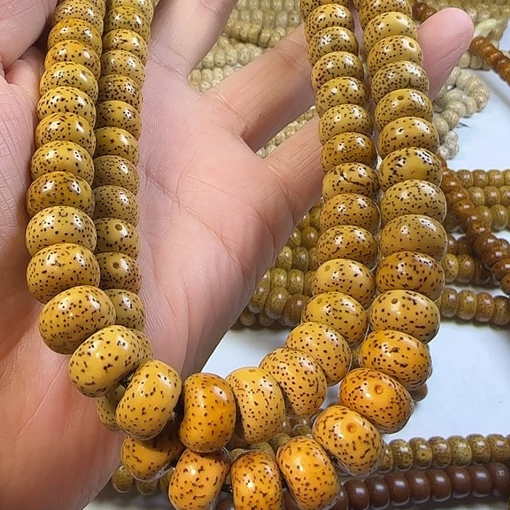老脱脂星月菩提112