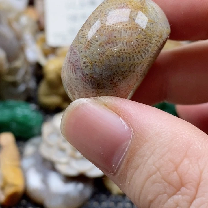 硅化珊瑚（珊瑚玉）颈饰未镶嵌N*