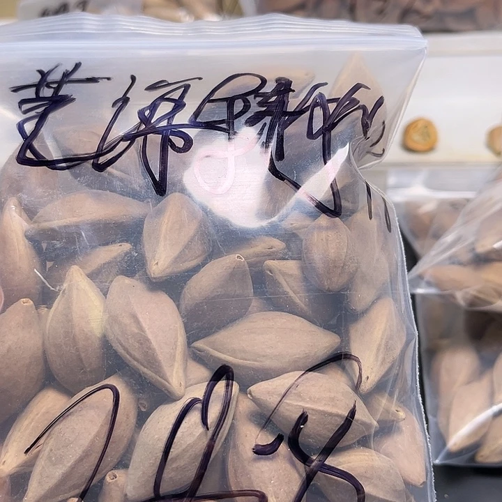 艺***作手串/手链橄榄核111