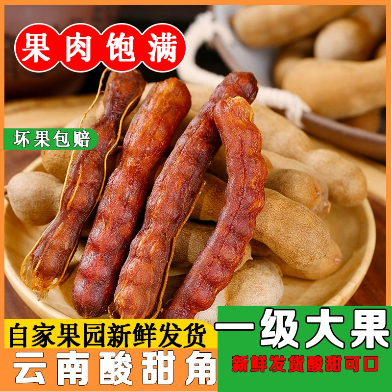 25年新果云南酸甜角孕妇零食罗望子新鲜大甜角开胃小吃果脯酸甜角