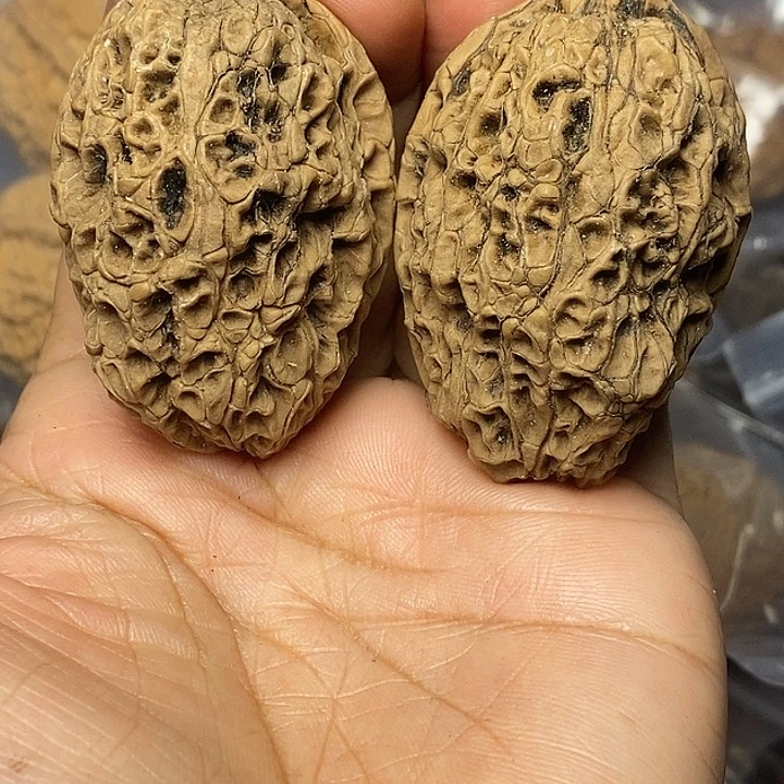 文玩核桃把件云南铁核桃17