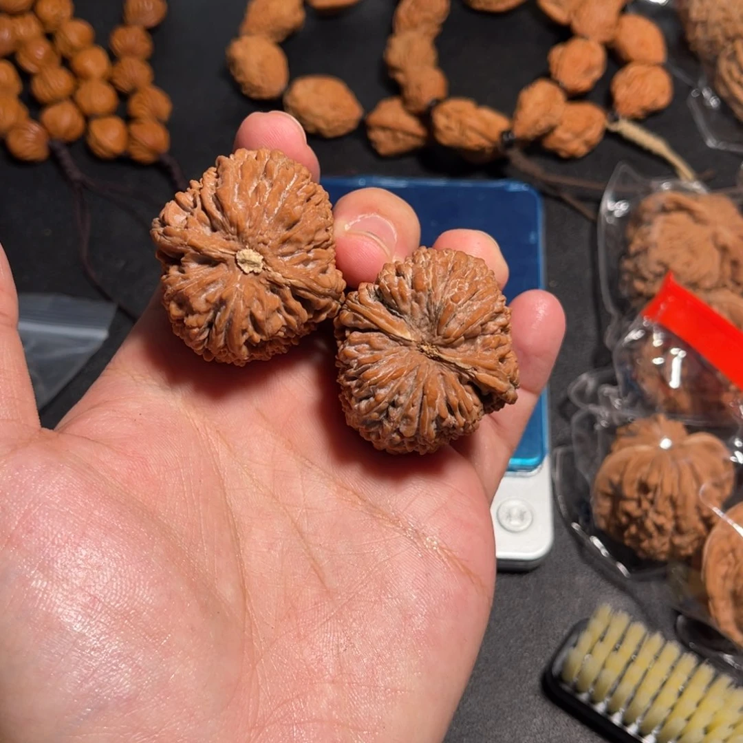 阔***虎38红皮大蒜头尖有小白点