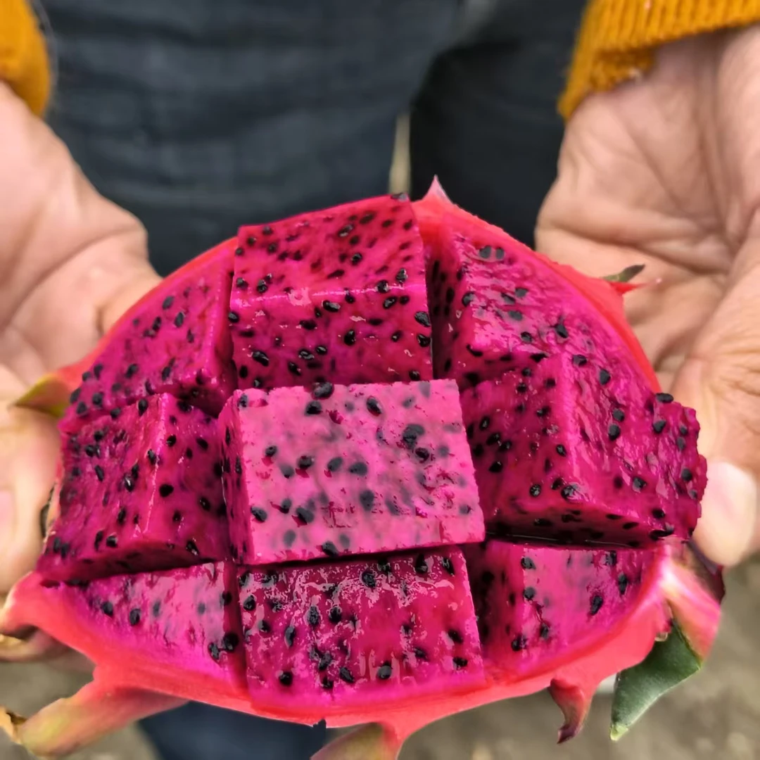 四川苍溪红心火龙果当季新鲜热带水果皮薄肉厚香甜多汁