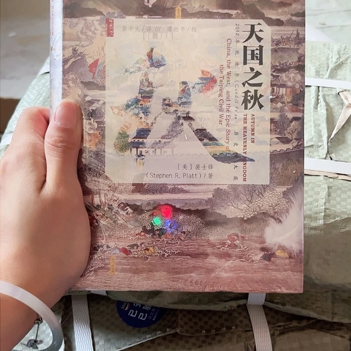 大叶紫檀（黑酸枝木类）天国之秋微瑕